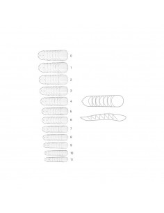 2Dual Form Nail Tips - Estrosa - 120 pz 2