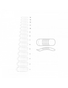 2Dual Form Mani e piedi - Estrosa - 140 pz 2