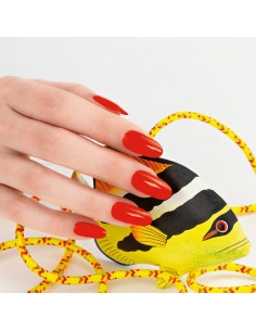 Sunset on the sea - Smalto Semipermanente 14 ml 2