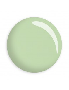 Verde Menta - Smalto Semipermanente 14 ml 2