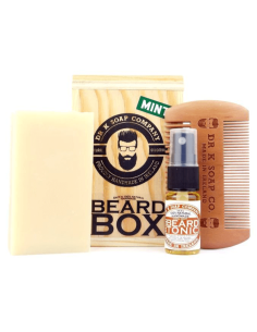 Dr K Beard Box – Mint – Kit...