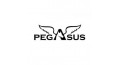 PEGASUS PETTINI